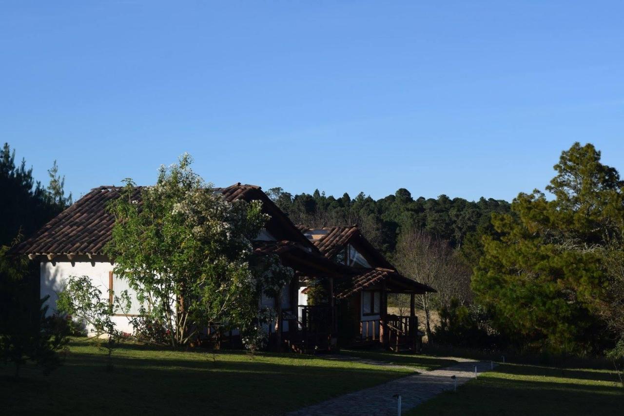 Casa Kitsch Hotel Zacatlán Eksteriør billede